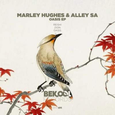 VA - Marley Hughes & Alley SA - Oasis (2022) (MP3)