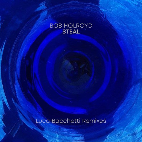 VA - Bob Holroyd - Steal (2022) (MP3)