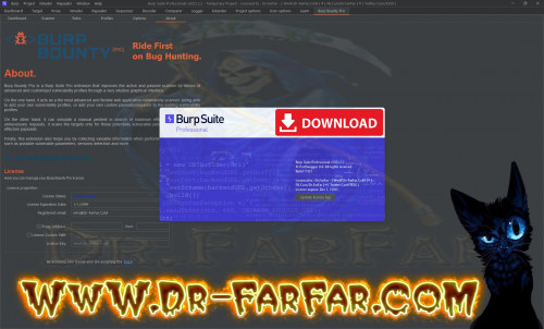 Burp Suite Professional Edition v2022.2.2 x64 Full Activated + Extensions