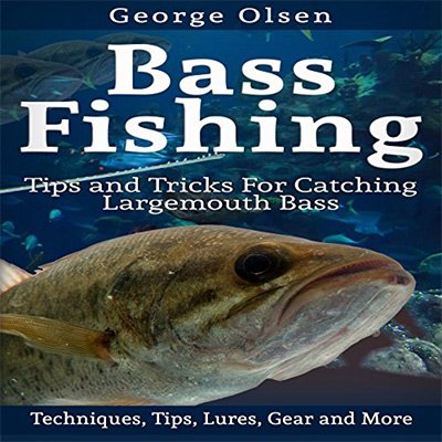 Bass Fishing Tips and Tricks for Catching Largemouth Bass (Audiobook)