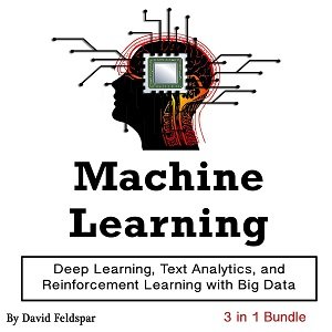 Machine Learning Deep Learning, Text Analytics, and Reinforcement Learning with Big Data [Audiobook]