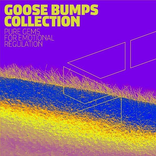 VA - Goose Bumps Collection, Vol. 7 (2022) (MP3)