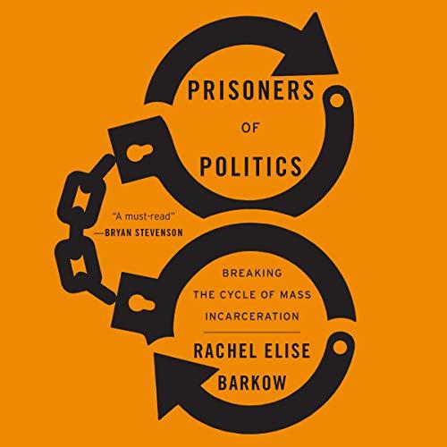 Prisoners of Politics Breaking the Cycle of Mass Incarceration [Audiobook]
