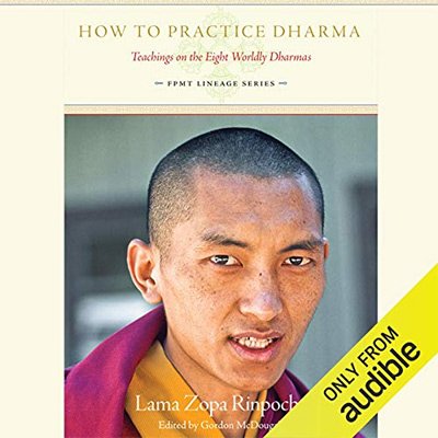 How to Practice Dharma Teachings on the Eight Worldly Dharmas (Audiobook)