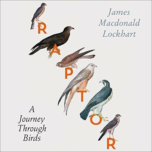 Raptor A Journey Through Birds [Audiobook]