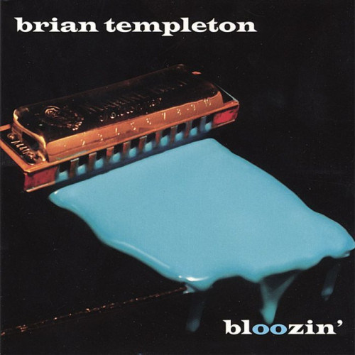Brian Templeton - Bloozin' (2006) [lossless]