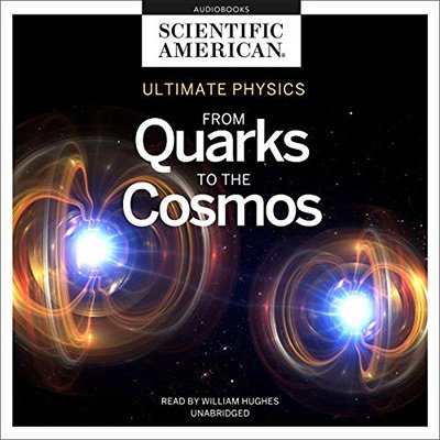 Ultimate Physics From Quarks to the Cosmos (Audiobook)