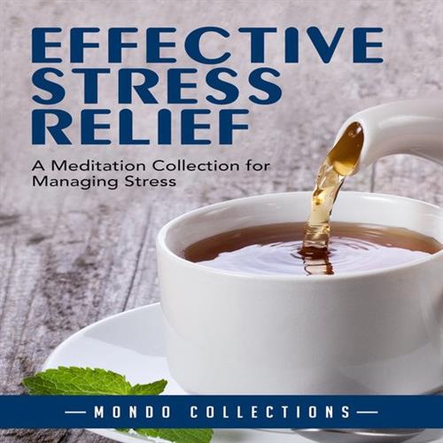 Effective Stress Relief A Meditation Collection for Managing Stress [Audiobook]