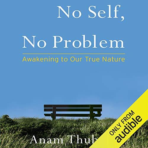 No Self, No Problem Awakening to Our True Nature [Audiobook]