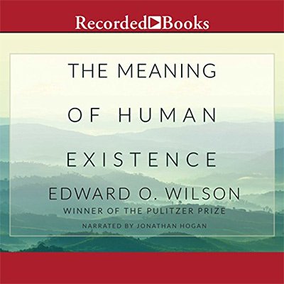 The Meaning of Human Existence (Audiobook)
