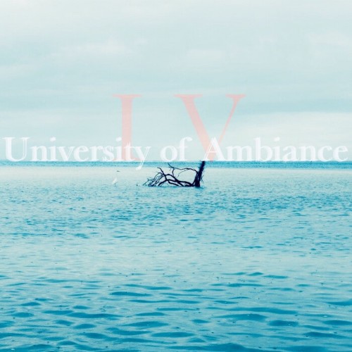 VA - University Of Ambiance, Vol 4 (2022) (MP3)