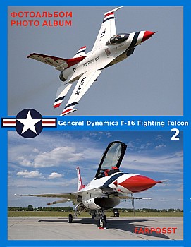 General Dynamics F-16 Fighting Falcon (2 )