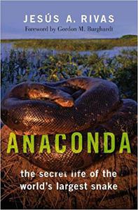 Anaconda The Secret Life of the World's Largest Snake