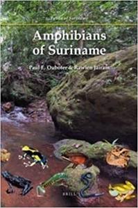 Amphibians of Suriname