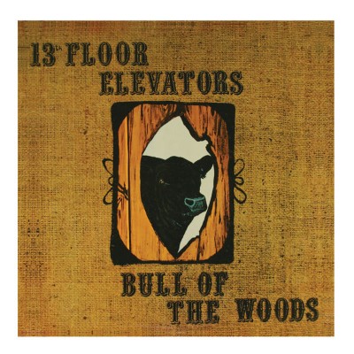 13th Floor Elevators - Bull of the Woods (1968) [16B-44 1kHz]
