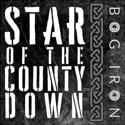 VA - Bog Iron - Star of the County Down (2022) (MP3)