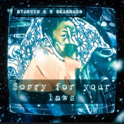 VA - Starvin B x SeasRA23 - Sorry For Your Laws (2022) (MP3)