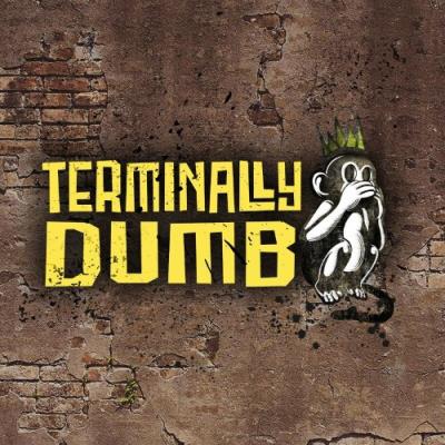 VA - Terminally Dumb - Terminally Dumb (2022) (MP3)