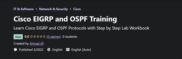 Udemy - Cisco EIGRP and OSPF Training