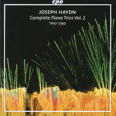 Joseph Haydn - Haydn  Complete Piano Trios, Vol  2