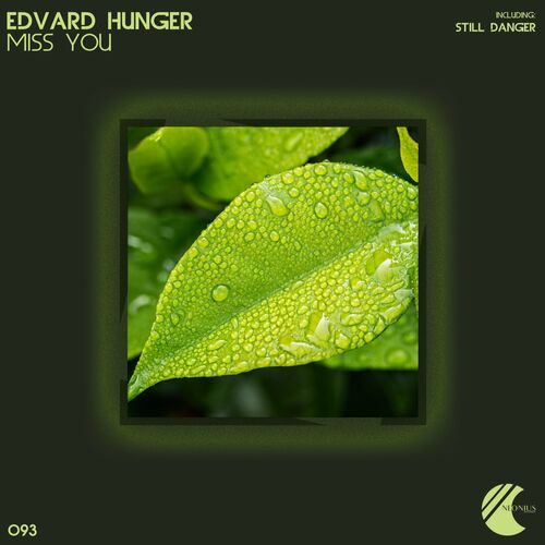 Edvard Hunger - Miss You (2022)