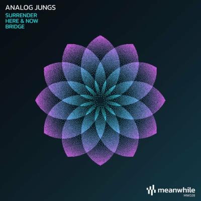 VA - Analog Jungs - Surrender (2022) (MP3)