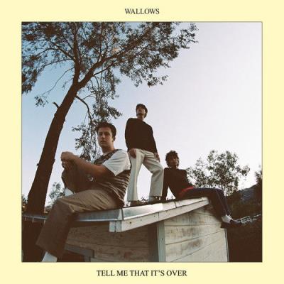 VA - Wallows - Tell Me That It's Over (2022) (MP3)