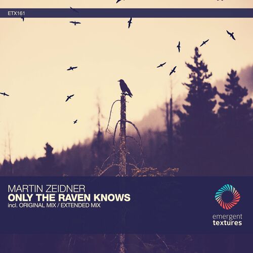 VA - Martin Zeidner - Only the Raven Knows (2022) (MP3)