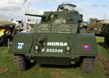 Staghound Walk Around