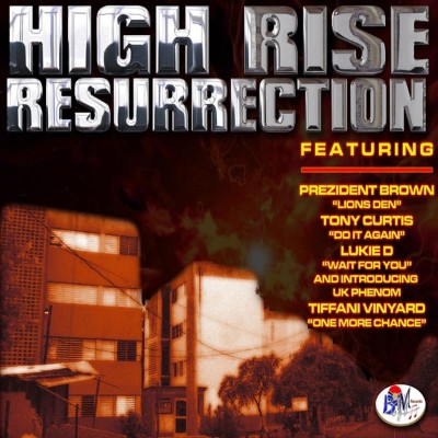 Various Artistes - HIGH RISE RESSURRECTION (2011) [16B-44 1kHz]