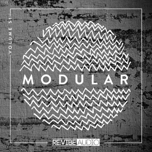 Modular, Vol. 51 (2022)