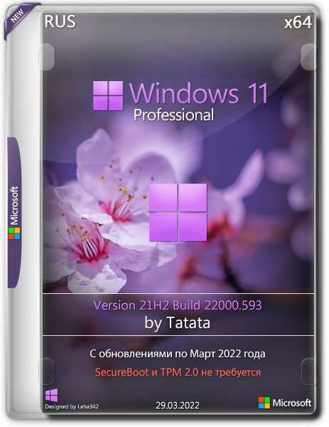 Windows 11 Professional 22000.593 x64 by Tatata (RUS/2022)