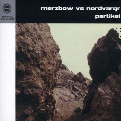 Merzbow - Partikel III (2013) [16B-44 1kHz]