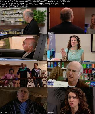 Curb Your Enthusiasm S06E08 1080p HEVC x265-[MeGusta]