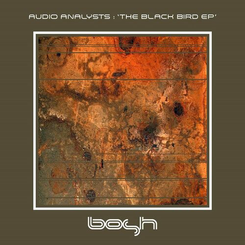 Audio Analysts - The Black Bird - EP (2022)