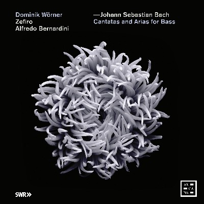 Johann Sebastian Bach - Bach  Cantatas and Arias for Bass