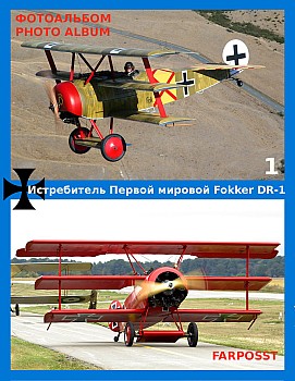   Fokker DR-1 (1 )