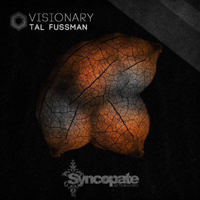 Tal Fussman - Visionary (Original Mix) (2019) [16B-44 1kHz]
