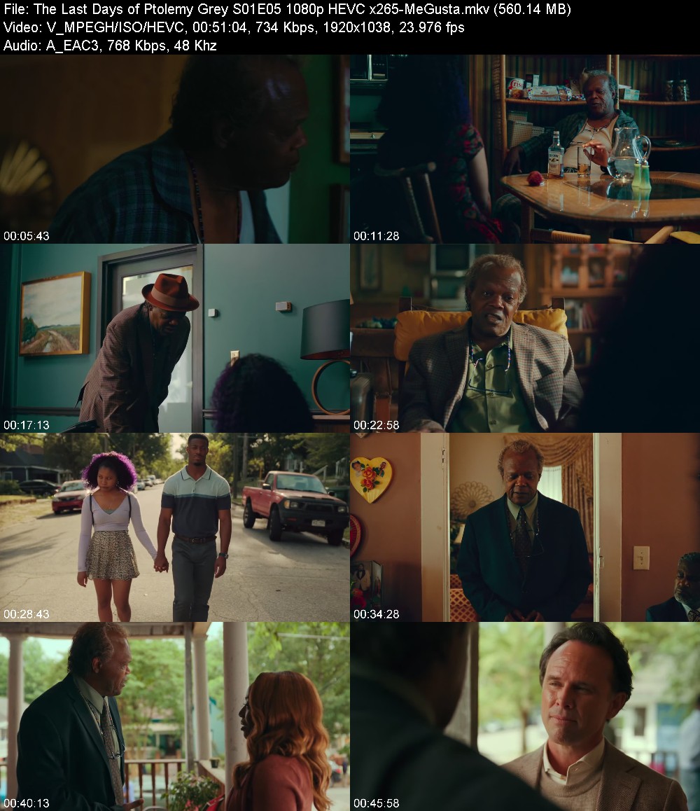 The Last Days of Ptolemy Grey S01E05 1080p HEVC x265-[MeGusta]