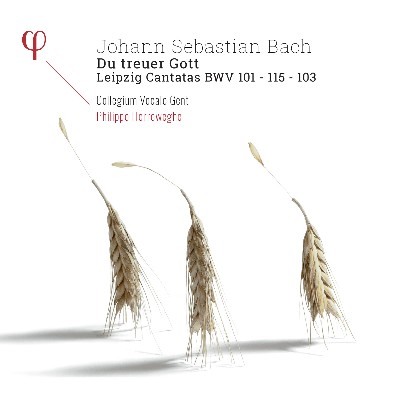 Johann Sebastian Bach - Bach  Leipzig Cantatas BWV 101, BWV 103 & BWV 115