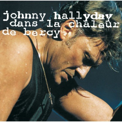 Johnny Hallyday - Dans la chaleur de Bercy (Live à Bercy  1990) (1991) [16B-44 1kHz]