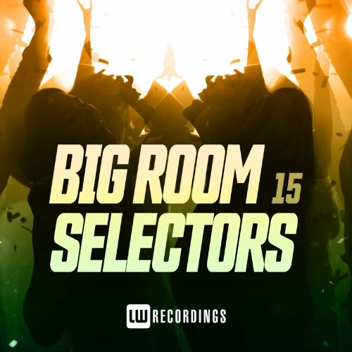 Big Room Selectors, 15 (2022)