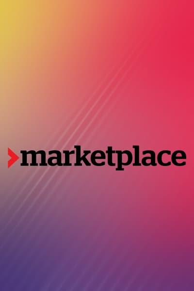 Marketplace S49E16 480p x264-[mSD]