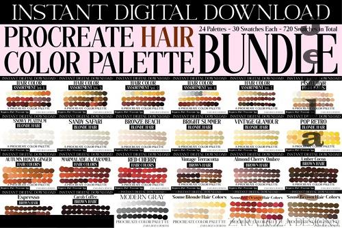 Big Bundle 24 Procreate Hair Color Palette Collection Pack - 1877231