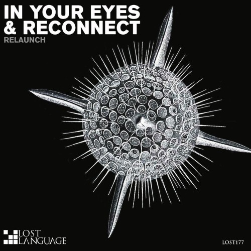 Relaunch - In Your Eyes and Reconnect (2022)