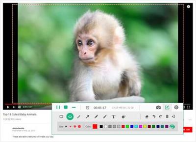 Apeaksoft Screen Recorder 2.1.36 (x64) Multilingual