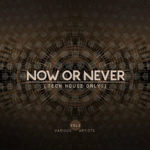 Now Or Never, Vol. 2 (Tech House ONLY!) (2022)