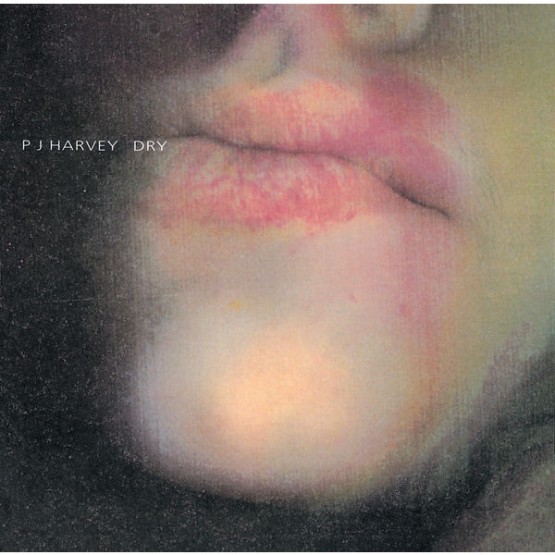 PJ Harvey - Dry (1992) [16B-44 1kHz]