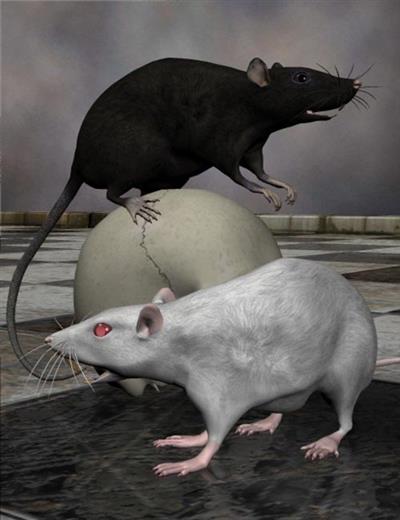 https://i116.fastpic.org/big/2022/0404/2a/b7ac31fe16a6e3fd4304a80c943e802a.jpeg