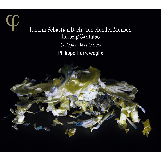 Johann Schelle - Bach  Ich elender Mensch & Leipzig Cantatas